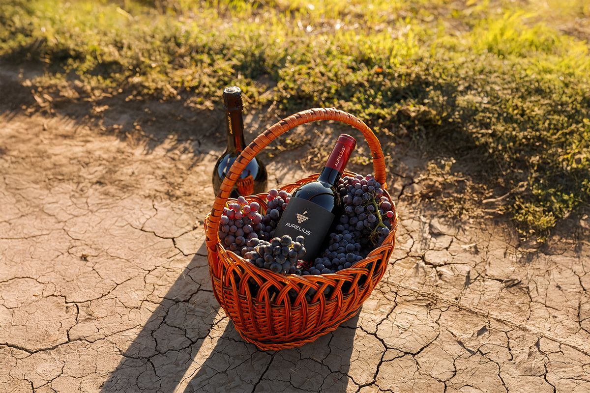 Trendurile în lumea vinului pentru 2025 – ce savurăm toamna aceasta?