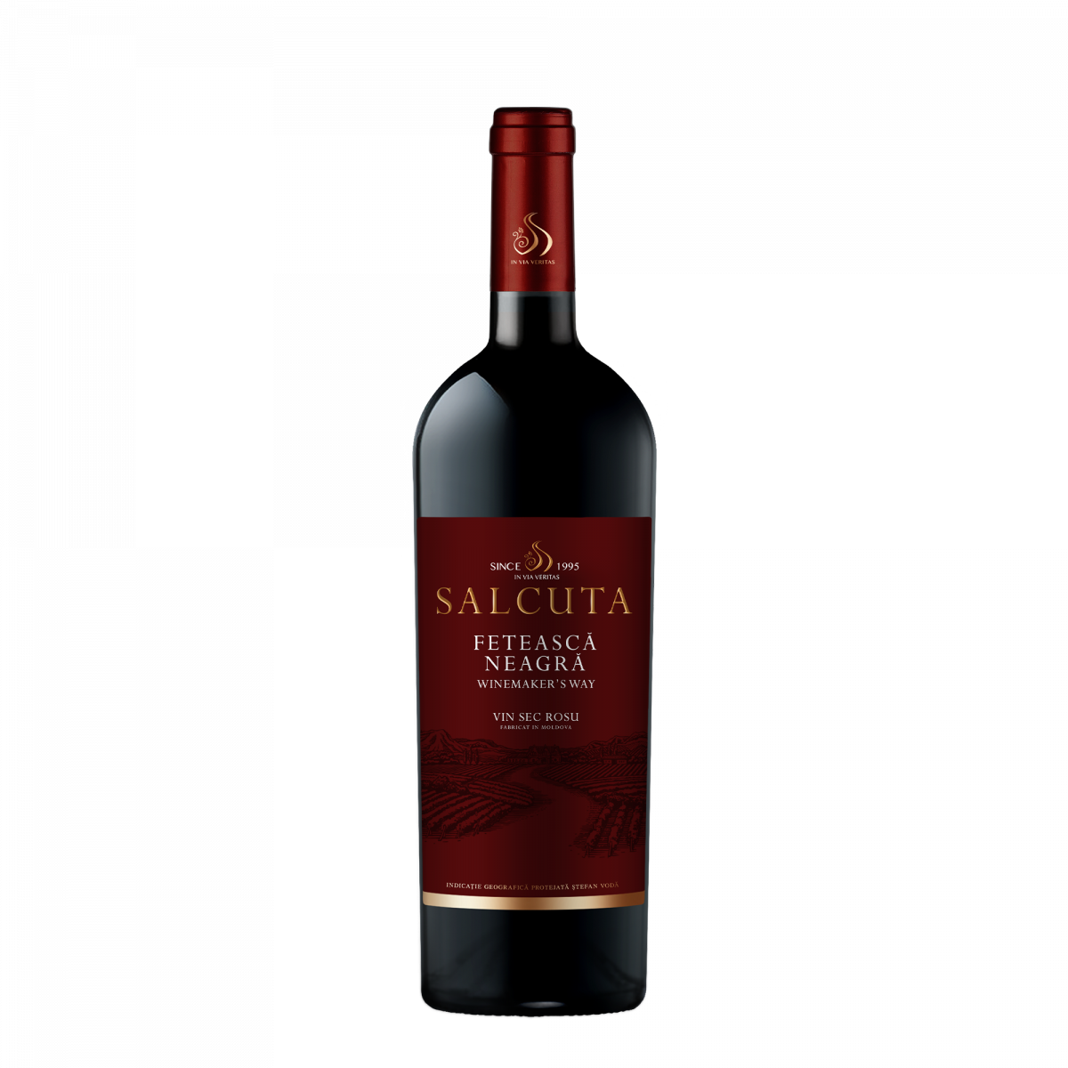 Vin Salcuta WW Feteasca Neagră 0.75 L - winetime.md