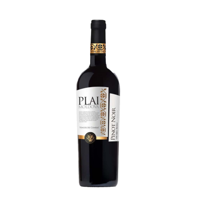 Comrat Plai Moldova Pinot Noir - winetime.md