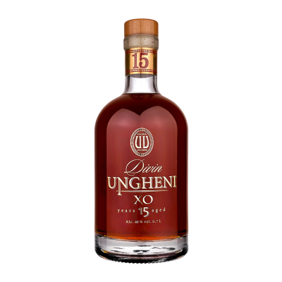 Divin Ungheni 15 ani - winetime.md