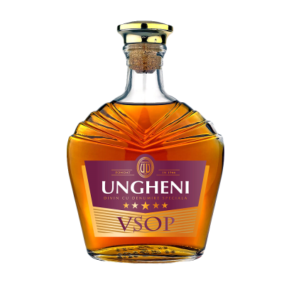 Divin Ungheni 5 ani - winetime.md